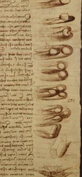 Wissenschaftliche Diagramme, aus dem Codex Leicester, 1508-12 (Detail)
